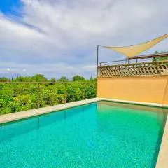 Finca Can Tiro