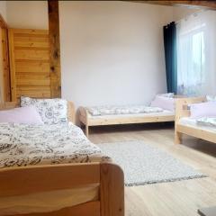 Apartamenty i pokoje gościnne pod lasem