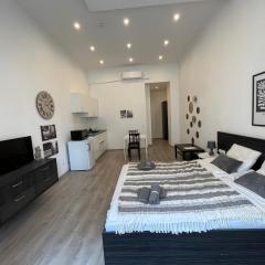 D58 Superior Apartments in the city center