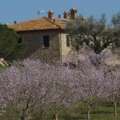Agriturismo Il Sassolino