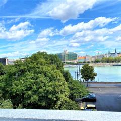 Danube view Artapartment with balcony