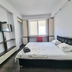 Testemiteanu 1 bedroom apartment with work zone