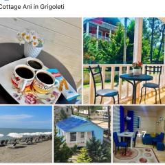 Cottage Ani in grigoleti