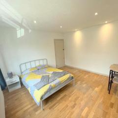 Studio Apartments in Sutton (South London)