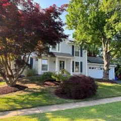 Upgraded, beautiful 4 BD Colonial in Silver Spring