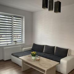 Apartament w Centrum Malborka