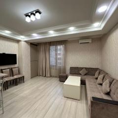 Teryan street, 2 bedrooms Modern New Euro Renovated apartment TT113