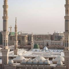 فندق هيلتون المدينة