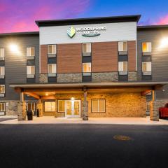 WoodSpring Suites East Lansing - University Area