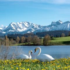 Direkt am See mit Bergblick