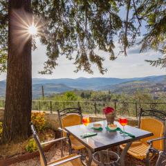 ISA-Farmhouse with swimming-pool in Chianti-area in the middle of Tuscan nature