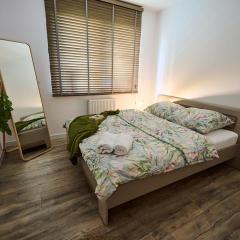 Apartament 12