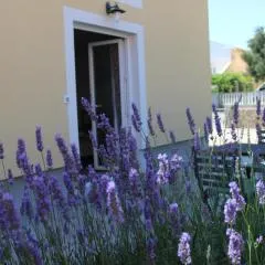 Studio Lavanda in Kornić, Krk