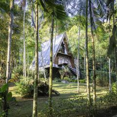 Quinta Borba - Cabanas no centro de Itajaí