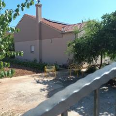 Apartments with parking space Bibinje, Zadar - 21624