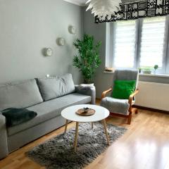 Apartament Joanna parter blisko Rynku, Onkologii i strefy ekonomicznej