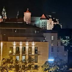 Juwel Apartments Kraków z widokiem na Wawel 47