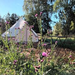 Glamping Kotitila Kiveinen