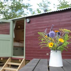 Cosy Shepherd's Hut with Hot Tub