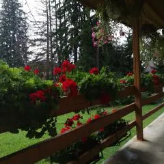 Cabana Fantanita cu Brazi