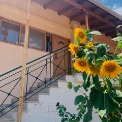 BOKAS EXOTIC HOUSE