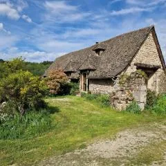 Le Puy d'Aubrac