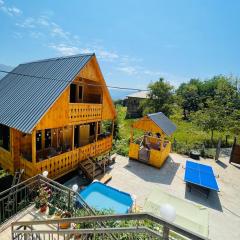 House in The Mountains