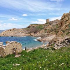 Joli appartement en Corse avec piscine