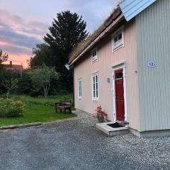 Calm surroundings with hiking trails near Bodø and Saltstraumen