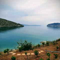 Tholos Alexandra's Beachfront House