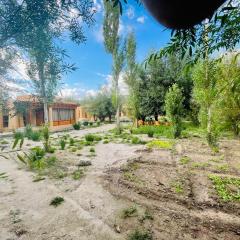 Thiksay Organic Resort and Retreat