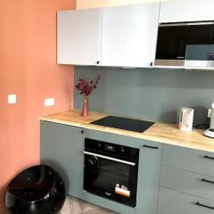 Appartement avec vue sur château - Metz