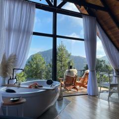 Cabanas Vale da Pedra