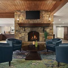 Hampton Inn Atlanta-Stone Mountain