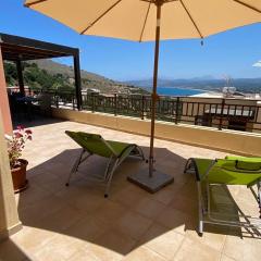 Carnation - Morfi Village