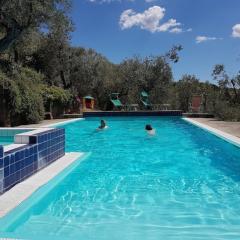 Olive Tree Suites Farmstay Villa