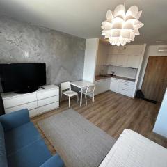 Apartament Krzywoustego14