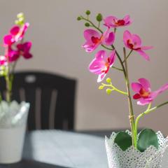 Piso Gexel Casco histórico con garaje