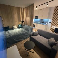 Blue River Apartment - Wrocław