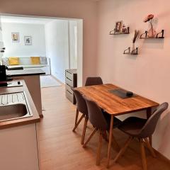 Holiday apartment in Gmunden