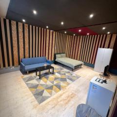 Newly built Large garden ensuite guest studio