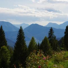 Alpenchalet Waldl - la Lepre