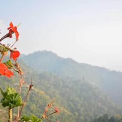 OYO 81061 Satyam Home Stay Kasauli Dharampur