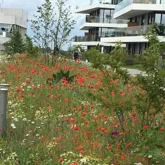 Bo med stil og udsigt til Aarhus lystbådehavn