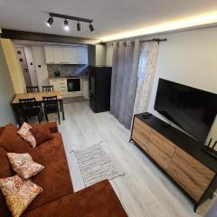 Apartament w zabytkowym parku nad jeziorem