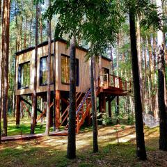 Tree Houses Olszanka