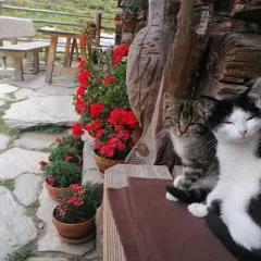 Birnbaum Chalets Grossarl