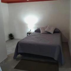 La Casa de los Cactus 8