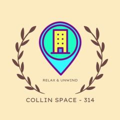 Collin Space 314