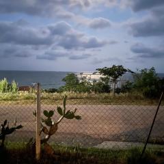 Sunny sea view Apartment- Geoponika - free parking